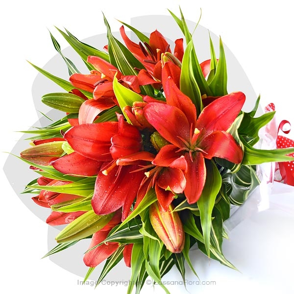HAPPIEST HOLIDAYS - Lovely Lilies - in Sri Lanka