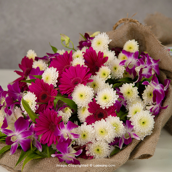 THANKFUL FOR YOU AMMI - Exotic Chrysanthemums - in Sri Lanka