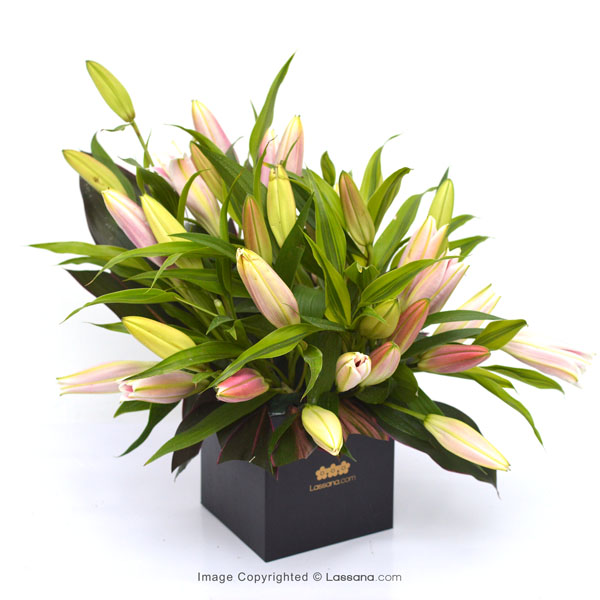 PINK CONFETTI ( PINK LILIES ) - Lovely Lilies - in Sri Lanka