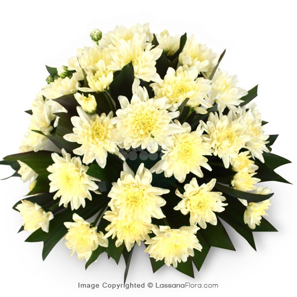 CONDOLENCES - Exotic Chrysanthemums - in Sri Lanka