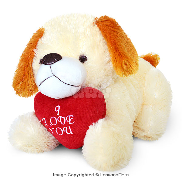 LOVE DOGGY (LARGE) - Soft Toys - in Sri Lanka