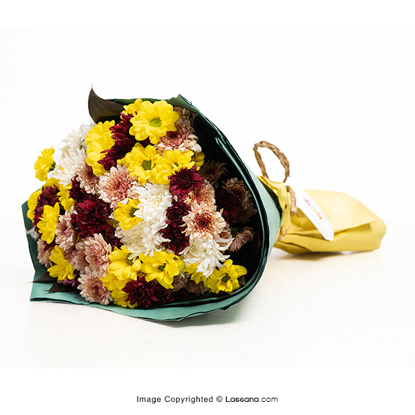 YOUNG FOREVER - Exotic Chrysanthemums - in Sri Lanka