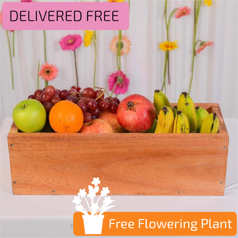 CHEERFUL HOLIDAY FRUIT BASKET WITH FREE FLOWERING PLANT - Fruit Baskets - in Sri Lanka