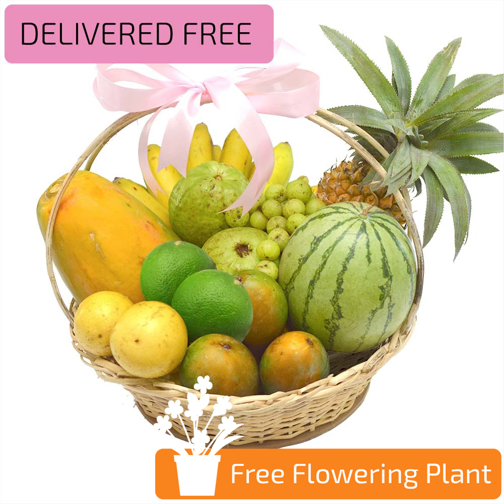 TROPICAL FRUIT BASKET FREE FLOWERING PLANT - Fruit Baskets - in Sri Lanka