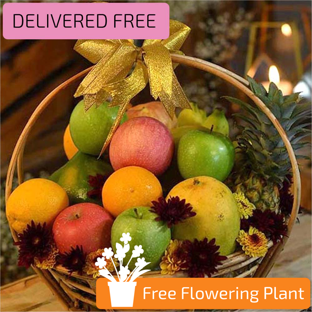 GOODY & FRESH FRUIT BASKET WITH FREE FLOWERING PLANT - Fruit Baskets - in Sri Lanka