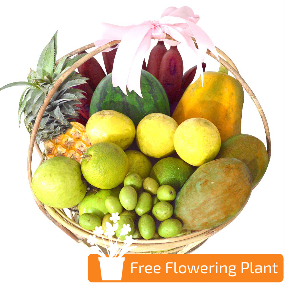 SENSATIONAL FRUIT BASKET WITH FREE FLOWERING PLANT | Lassana.com Online ...