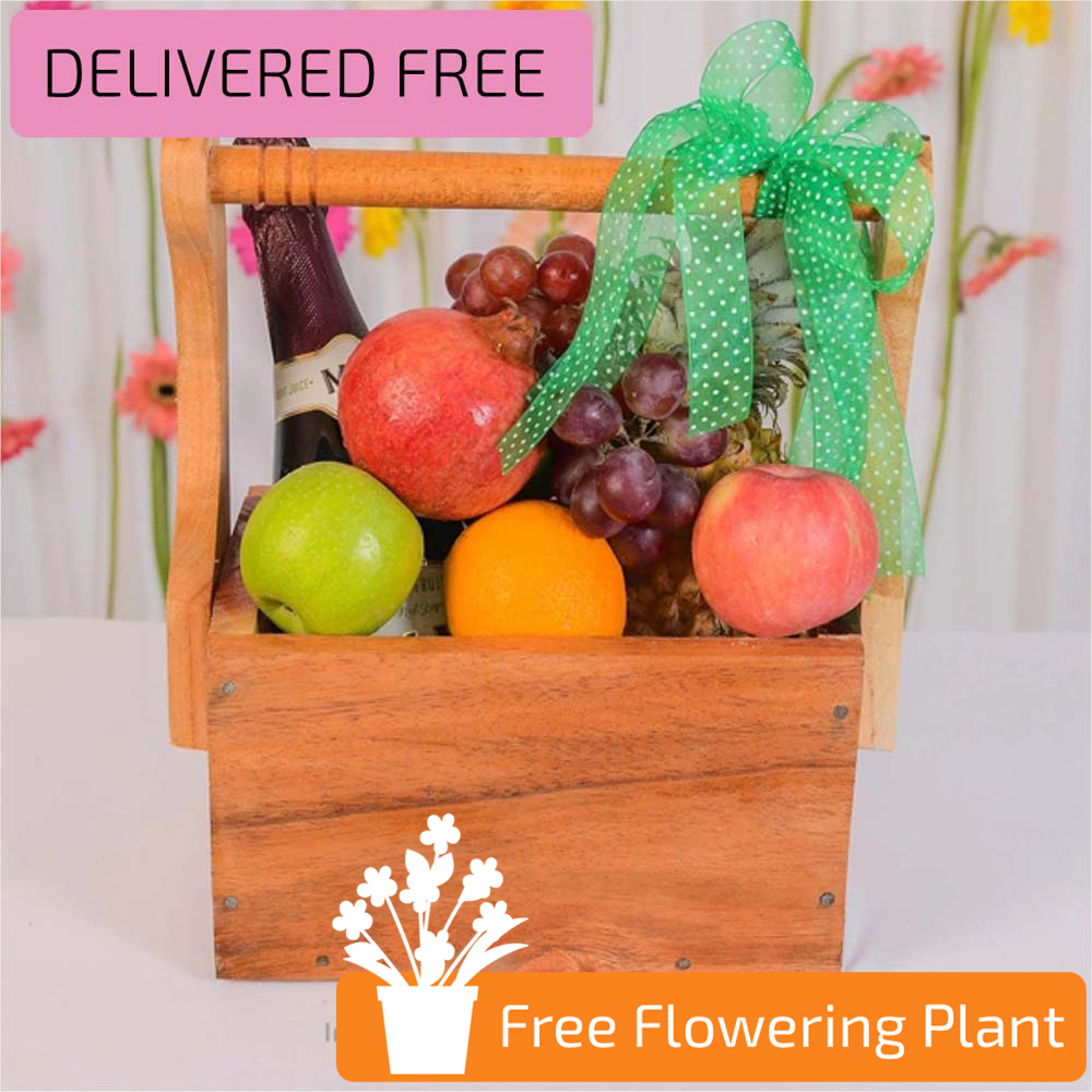 FRUIT FIESTA FRUIT BASKET WITH FREE FLOWERING PLANT - Fruit Baskets - in Sri Lanka