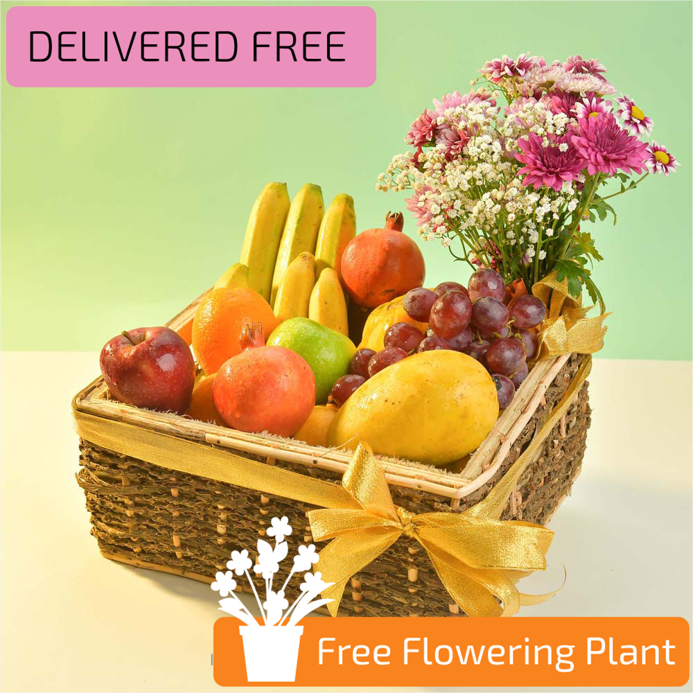 SWEET MEDLEY FRUIT BASKET WITH FREE FLOWER BUNCH & FREE FLOWERING PLANT - Fruit Baskets - in Sri Lanka