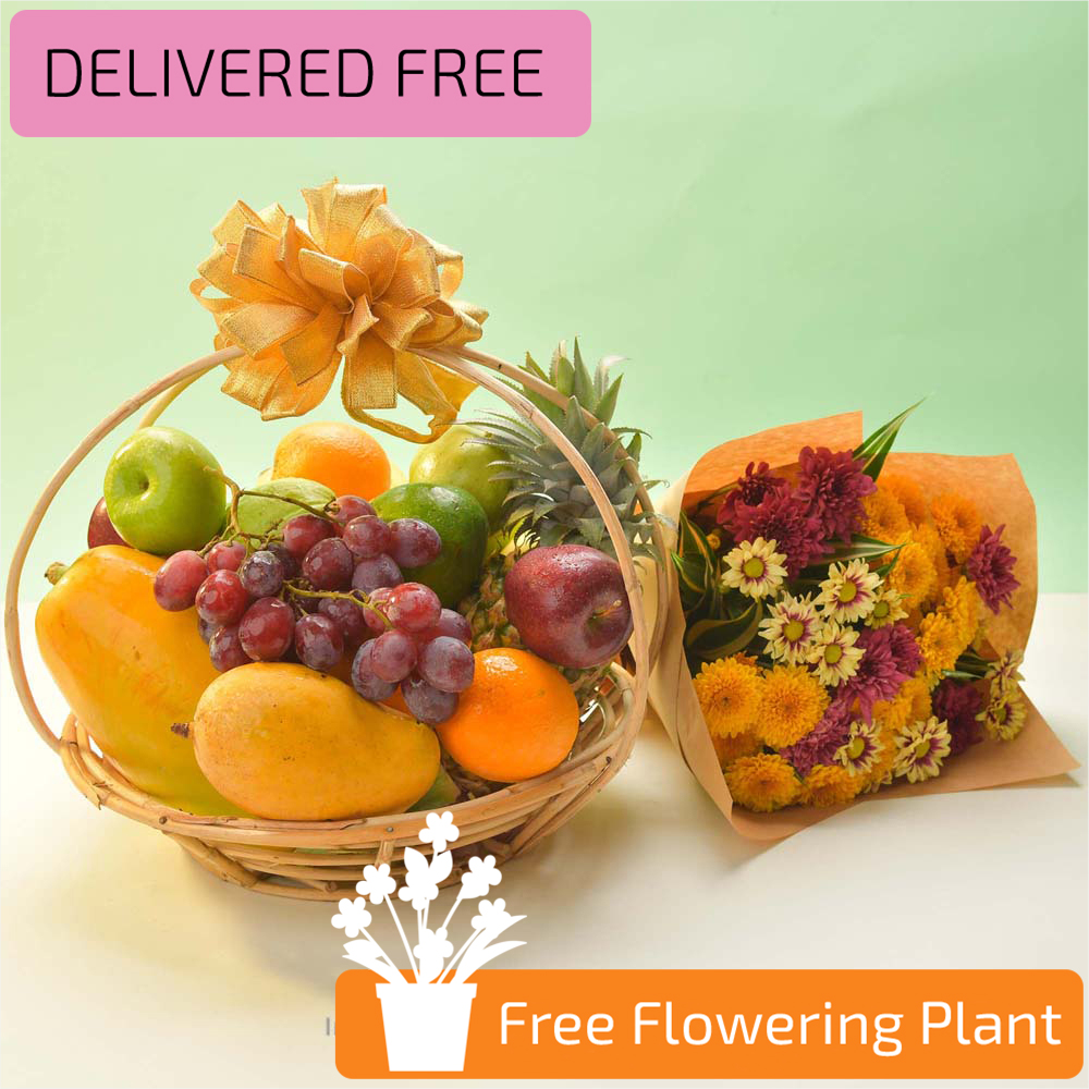 HAPPINESS FRUIT BASKET WITH FREE FLOWER BUNCH & FREE FLOWERING PLANT - Fruit Baskets - in Sri Lanka