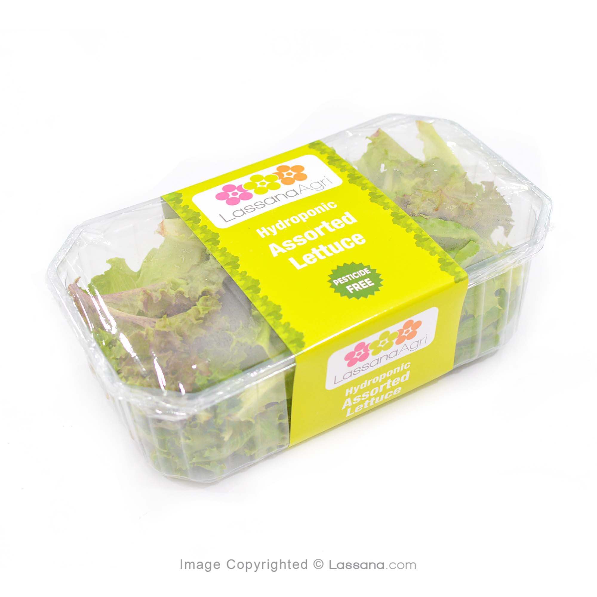 Lassana Agri Hydroponic Assorted Lettuce 120g 